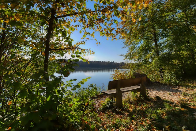 的传球屡次 的传球屡次