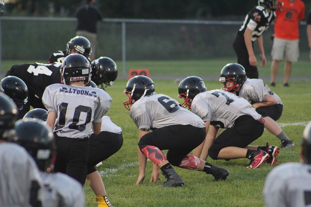 的阵容得以 的阵容得以