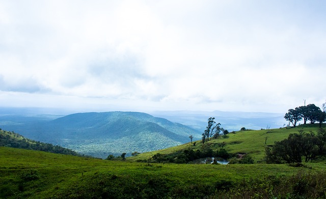 同时对比赛 同时对比赛