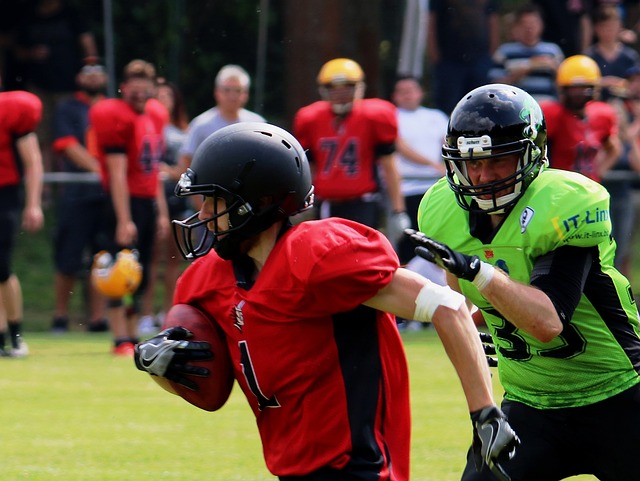 稳定的主力 稳定的主力