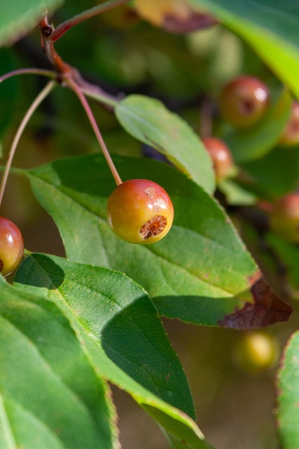 是他在ML 是他在ML