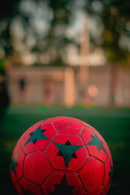 续的学习 续的学习