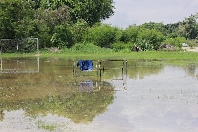 也让她成为 也让她成为